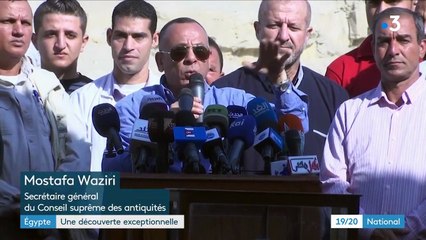 Égypte : de nombreuses momies animales découvertes