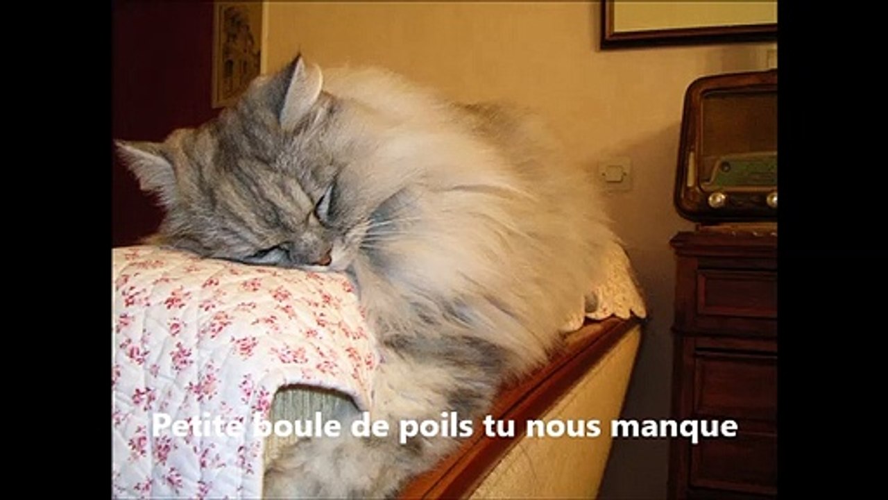 5 ans déjà