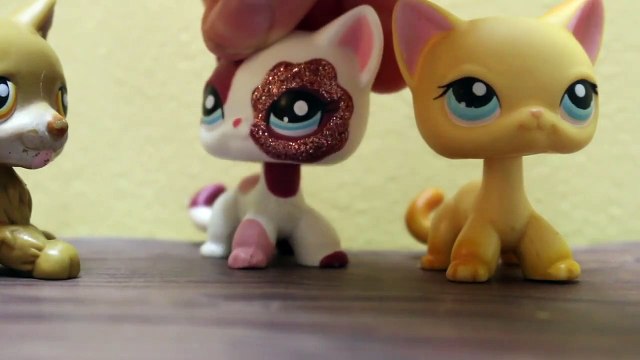 Littlest pet shop- chaos in the studio- My bad pizza delivery boy (READ DESCRIPTION)