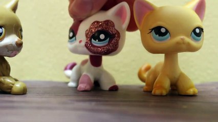 Littlest pet shop- chaos in the studio- My bad pizza delivery boy (READ DESCRIPTION)