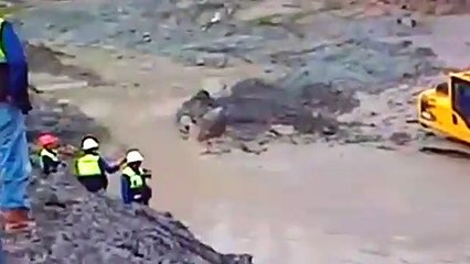 मगरमच्छ RESCUE WORK    - गोंदिया- gondia- Tirora- Tumsar- Aamgaon- salekasa- soundad- Hirdamali- Kachewani- Darekas ( 360 X 640 )