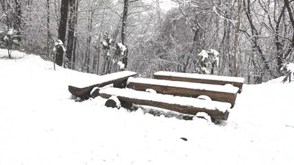 [날씨] 한파특보 해제, 낮 '쌀쌀'...강원 산간 첫 대설 / YTN
