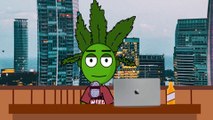 Why Buddy Spliff Thinks That We Should Legalize Weed | Cannabis Talk Show #Weed #Cannabis #Marijuana