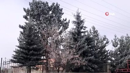 Sarıkamış soğuktan kırağı tuttu