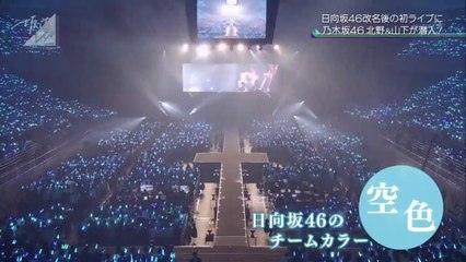 190323 ライブ 日向坂46