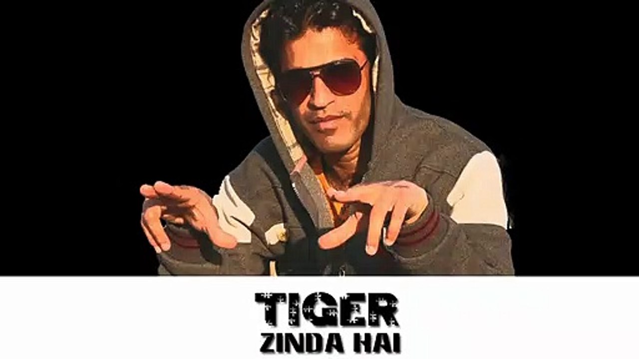 Tiger Zinda Hai - Hindi Movie Spoof Trailer  - Coming Soon Funny Video