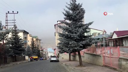 Sarıkamış Soğuktan Kırağı Tuttu