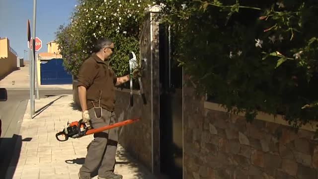 Los expertos señalan la importancia de la poda en la salud de plantas y árboles