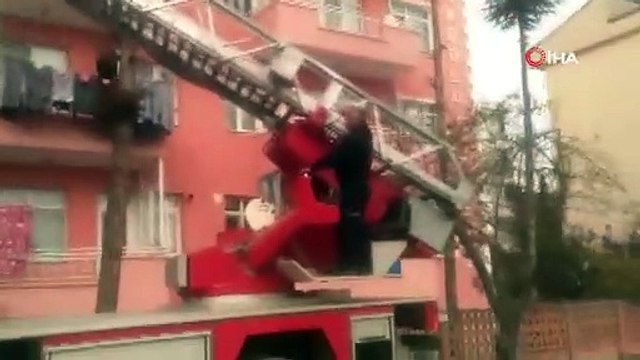 Ağaçta mahsur kalan sakat kediyi itfaiye ekipleri kurtardı