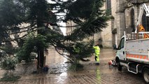 Le sapin de Noël s’installe au centre-ville