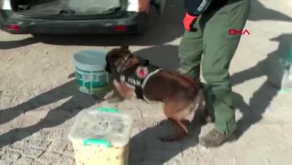 Elazığ kavurmanın altından esrar çıktı