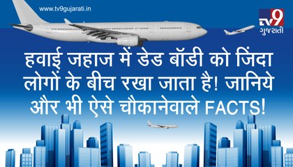 વિમાનમાં મૃતદેહને રાખવામાં આવે છે જીવંત લોકોની સાથે! જાણો આવી જ ચોંકાવનારી હકીકતો! જુઓ VIDEO