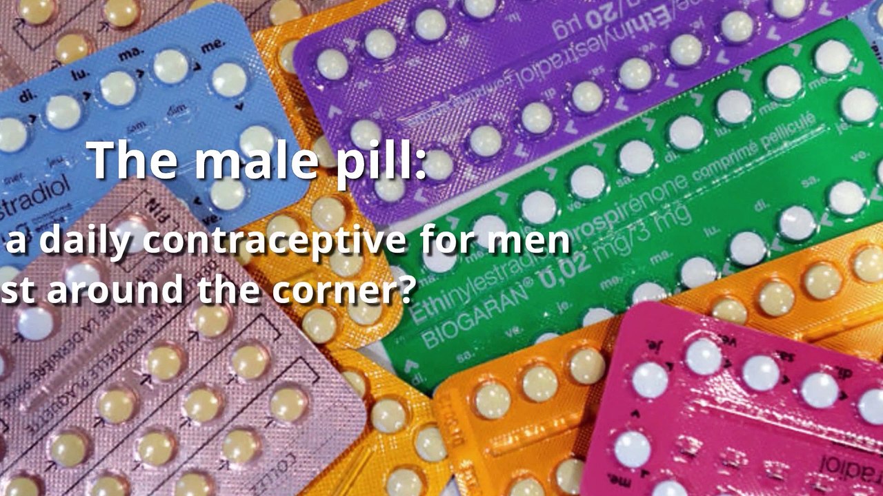 The male pill - Is the male pill just around the corner