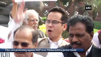 Sonia Gandhi leads Congress protest outside Parliament premises