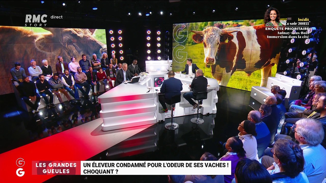 Un éleveur condamné pour l'odeur de ses vaches - 25/11