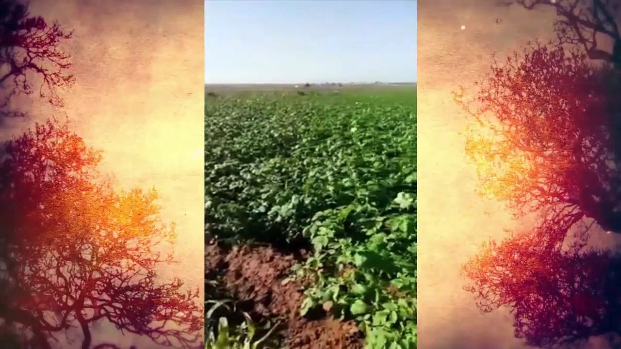 الله يـعون الـعونـات