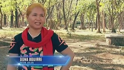 Pilipinas Got Talent Season 5 Live Semifinals: Dona Aguirre Journey