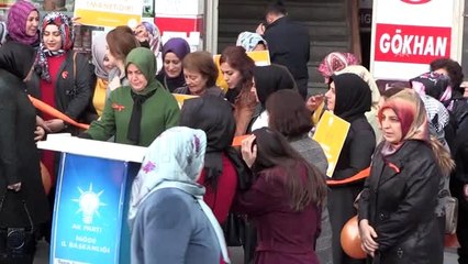 Kadına Yönelik Şiddete Karşı Uluslararası Mücadele ve Dayanışma Günü