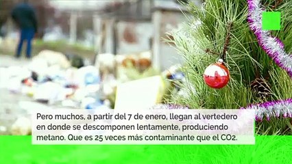 Árbol de Navidad: ¿natural, artificial o ninguno?