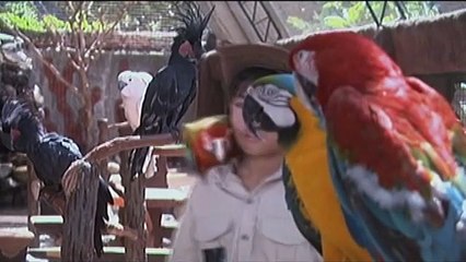 Mga hayop na dapat katakutan at iwasan sa gobyerno ibinahagi ni kuya Kim