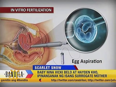 Baby nina Vicki Belo at Hayden Kho, ipinanganak ng isang surrogate mother