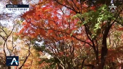 [김진이 간다]4천 원 내야 등산?…‘억울한’ 입장료