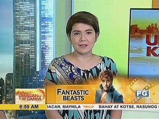 Pinakabagong trailer ng 'Fantastic Beasts and Where to Find Them', inilabas na