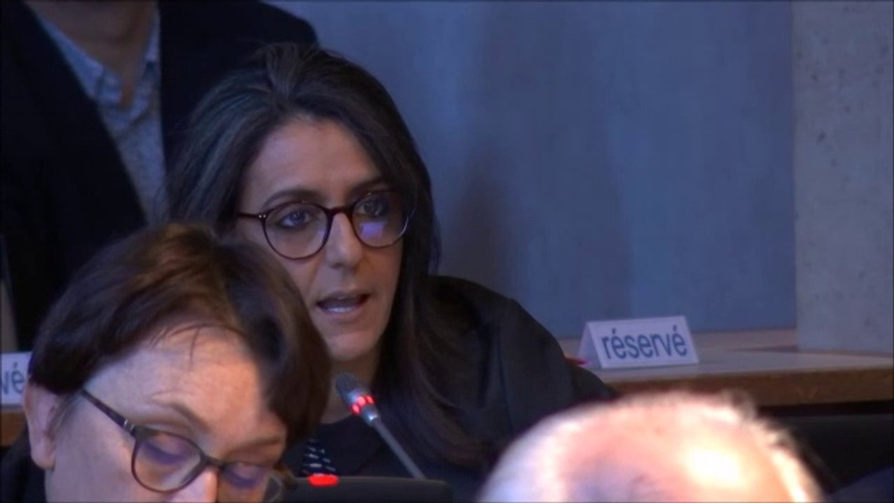 Dénia HAZHAZ. Egalité professionnelle entre les femmes et les hommes 25 novembre 2019.