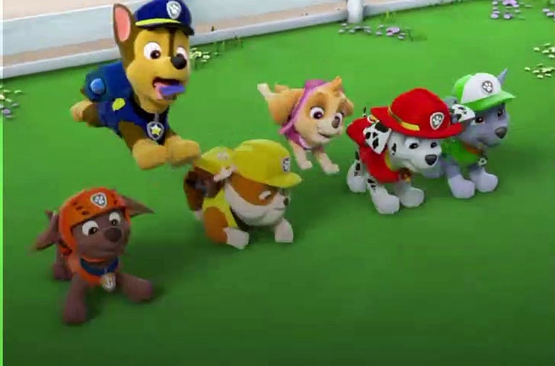 paw patrol PupsSave the Woof an Roll Show  p