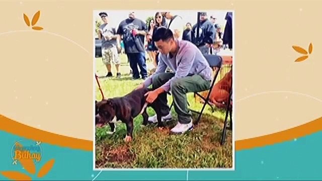 Paano nag umpisa ang love story ni Rufa Mae at Trev?