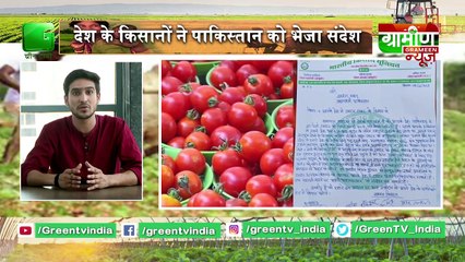 भारत के किसानों की PAK को दो टूक, POK दो टमाटर लो | Kisan Bulletin || Grameen News