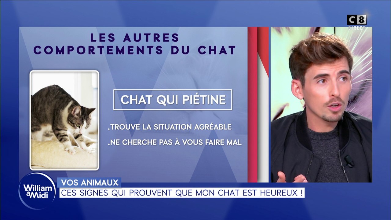 Ces signes qui prouvent que mon chat est heureux !