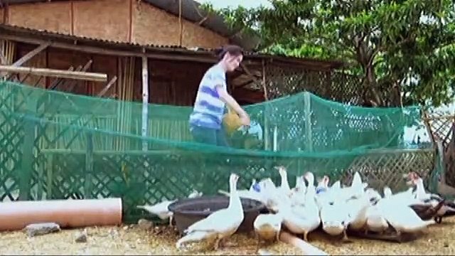 Phil, kinamusta ang kanyang tatlong Bibe kay Pinang