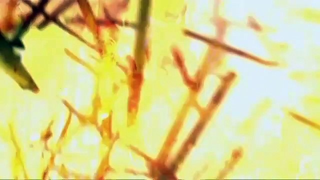 Tomas, gumawa ng paraan para makatakas kay Cardo