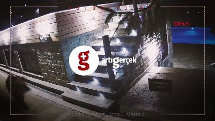 Havuza giren ayı reklam yıldızı oldu