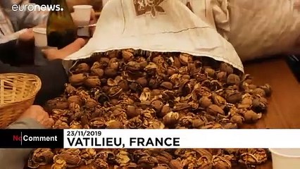 Frankreich: Ein Dorf knackt gemeinsam Walnüsse