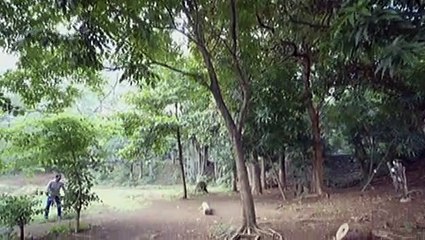 Hector, naalala sa kanyang matinding pagsasanay