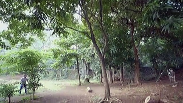 Hector, naalala sa kanyang matinding pagsasanay