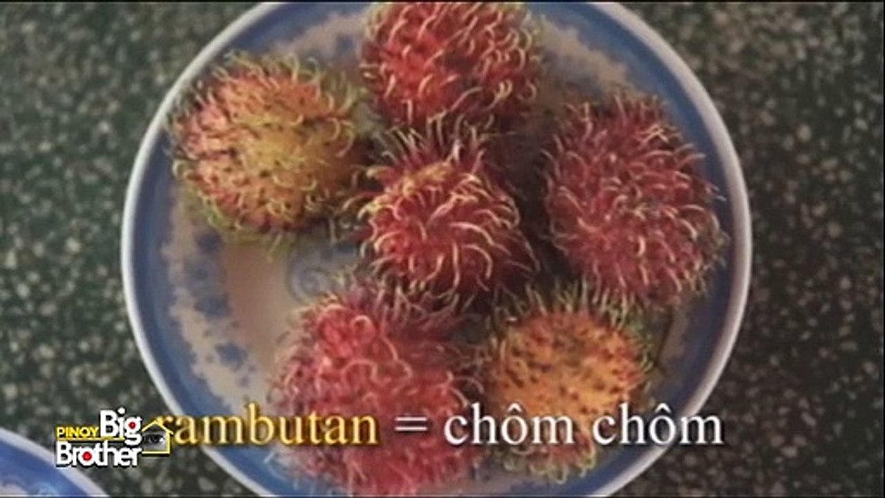 Robi explores Vietnam