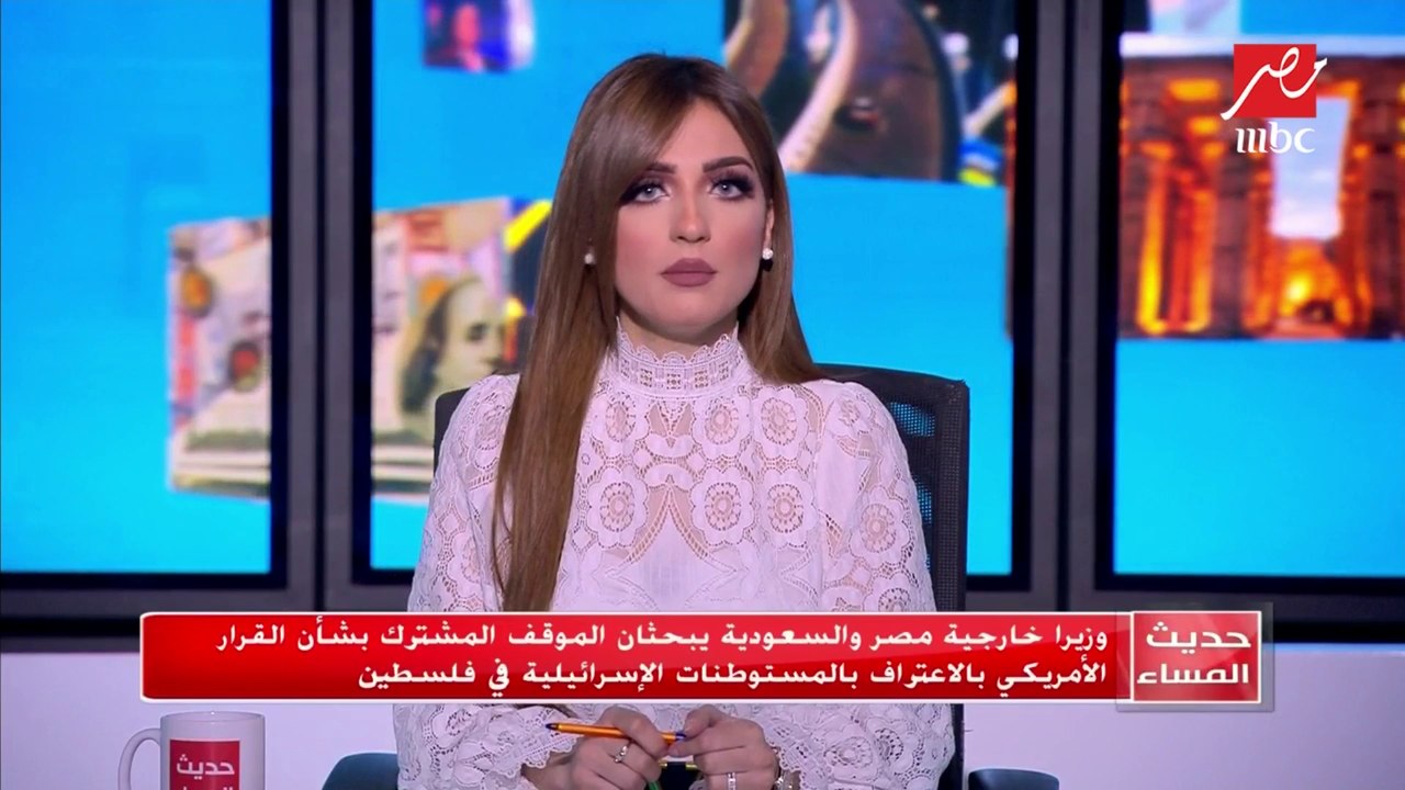 وزيرا خارجية مصر والسعودية يبحثان الموقف المشترك بشأن القرار الأمريكي بالاعتراف بالمستوطنات الإسرائيلية في فلسطين