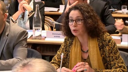 Sandrine HILY. Stratégie départementale de l'eau. 25 novembre 2019