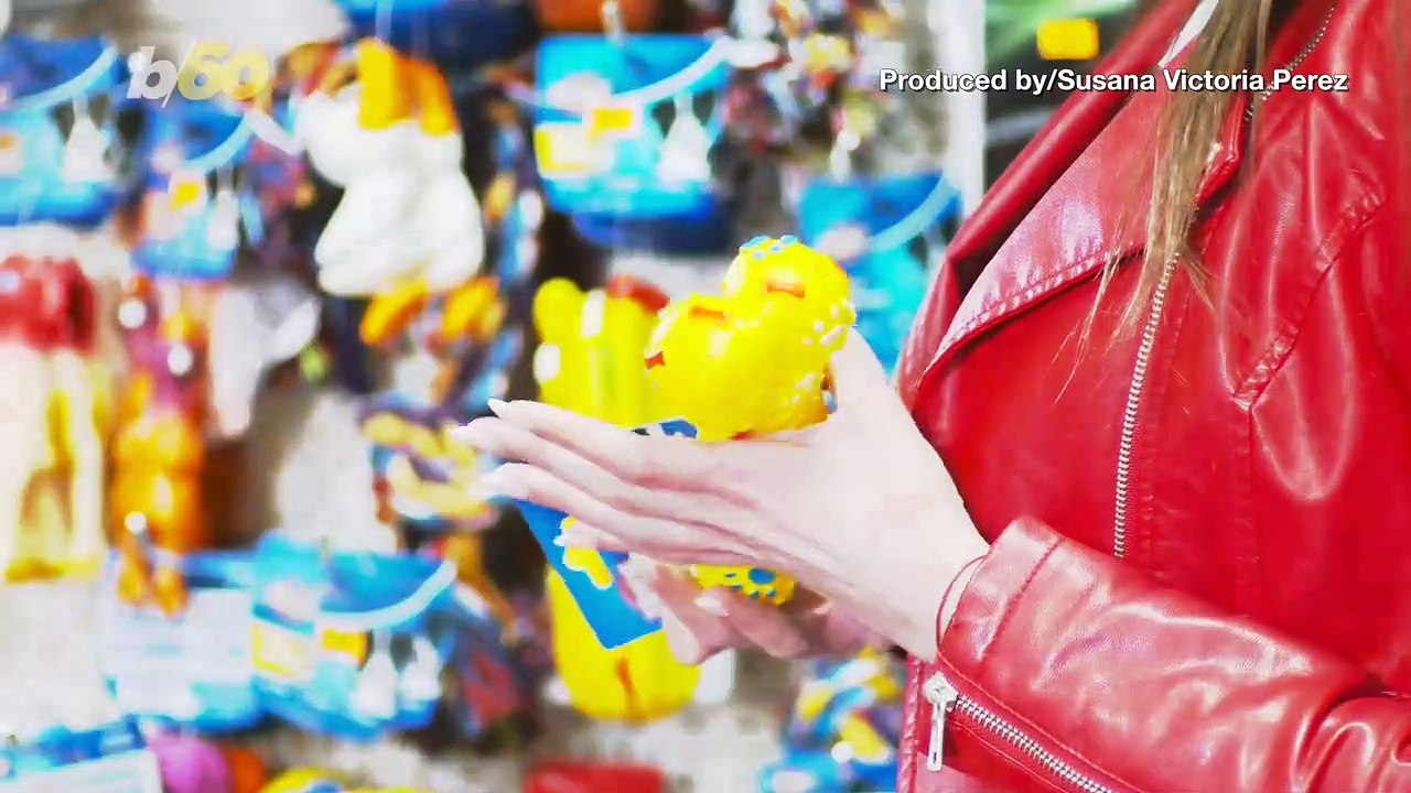 Best Bones For Your Dog if He or She is an Aggressive Chewer