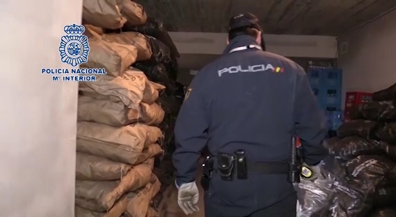 GC detiene a 4 personas e interviene 120 plantas de marihuana en Almansa