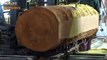 Dangerous Big Wood Chainsaw Sawmill Automatic Machine Working - EXTREME Tree Cutting Woodworking
