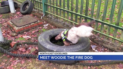 GOODLINES: 26th November 2019