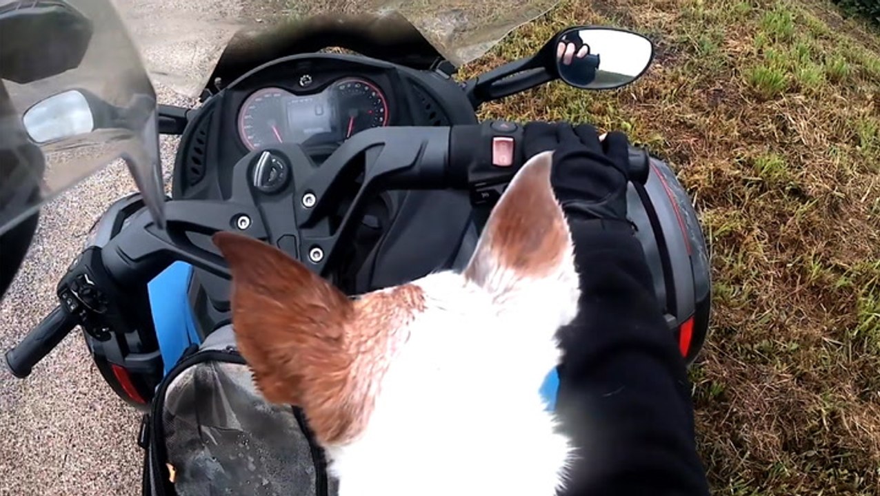 Motorcyclist Picks Up Extra Passenger