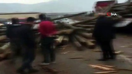 Tırın dorse kapağı açılınca taşıdığı tomruklar yola savruldu