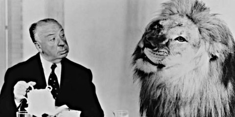 Las 50 escenas más raras jamás fotografiadas