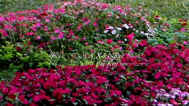 Nkauj Hmoob seev cev - Peb Hmoob nyob toj siab - Instrumental