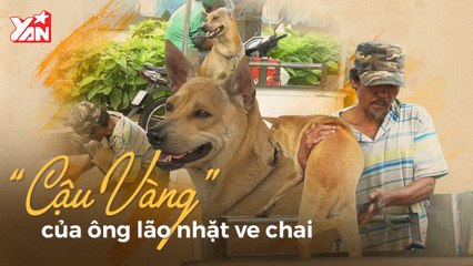 CHUYỆN ''CẬU VÀNG'' CỦA ÔNG LÃO NHẶT VE CHAI II YANNEWS